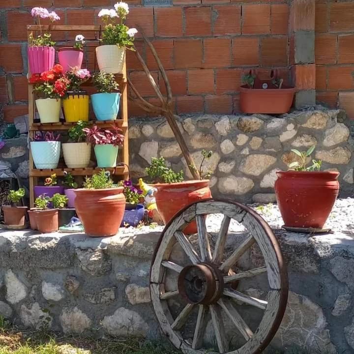 Yesil Kelebek Ev Otel Kadikoy  Dış mekan fotoğraf